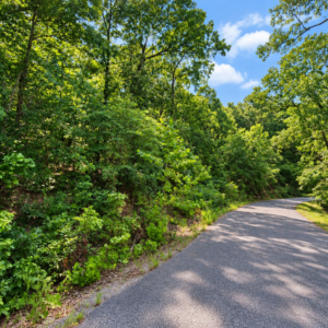 Own the Ozark Lifestyle—Lakes, Golf and Natural Beauty in Cherokee Village!  Build your future near Lake Chanute and the Cherokee Village South Golf Course, surrounded by peaceful woodlands, outdoor recreation and small-town charm. APN: 230-14880-000