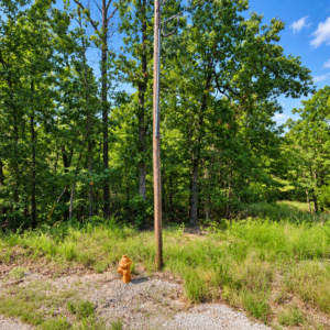 Own the Ozark Lifestyle—Lakes, Golf and Natural Beauty in Cherokee Village!  Build your future near Lake Chanute and the Cherokee Village South Golf Course, surrounded by peaceful woodlands, outdoor recreation and small-town charm. APN: 230-14880-000