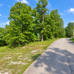 Own the Ozark Lifestyle—Lakes, Golf and Natural Beauty in Cherokee Village!  Build your future near Lake Chanute and the Cherokee Village South Golf Course, surrounded by peaceful woodlands, outdoor recreation and small-town charm. APN: 230-14880-000