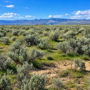 RARE 40.43-ACRE NEVADA PROPERTY Professionally Surveyed • Roads on Three Sides • Adjoins 640 Acres of BLM Land!  Amazing Views! The property is zoned A-3 Agricultural in Lander County, with residential use also permitted. APN:  007-220-90