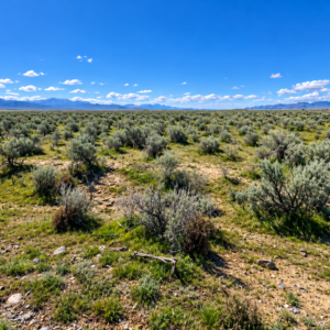 RARE 40.43-ACRE NEVADA PROPERTY Professionally Surveyed • Roads on Three Sides • Adjoins 640 Acres of BLM Land!  Amazing Views! The property is zoned A-3 Agricultural in Lander County, with residential use also permitted. APN:  007-220-90