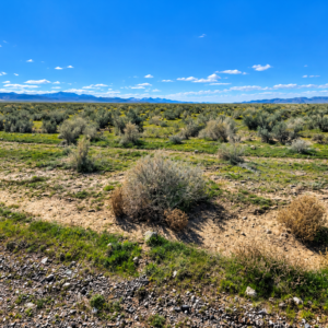 RARE 40.43-ACRE NEVADA PROPERTY Professionally Surveyed • Roads on Three Sides • Adjoins 640 Acres of BLM Land!  Amazing Views! The property is zoned A-3 Agricultural in Lander County, with residential use also permitted. APN:  007-220-90