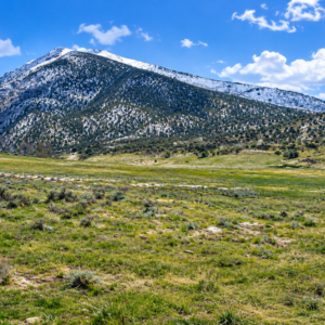 RARE 40.43-ACRE NEVADA PROPERTY Professionally Surveyed • Roads on Three Sides • Adjoins 640 Acres of BLM Land!  Amazing Views! The property is zoned A-3 Agricultural in Lander County, with residential use also permitted. APN:  007-220-90