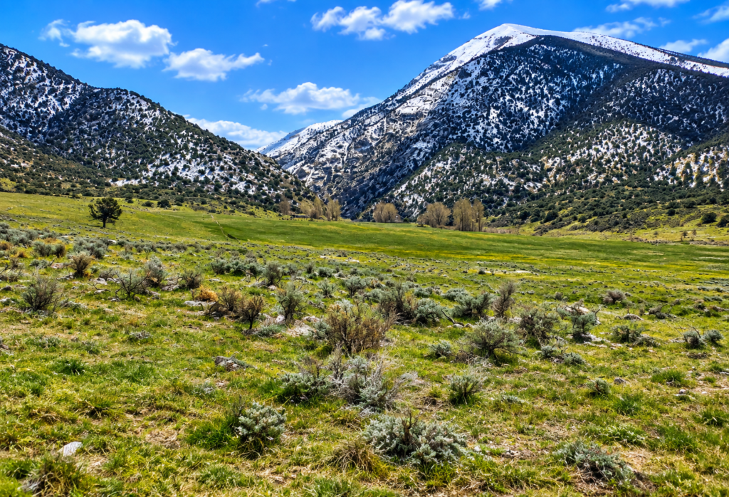 RARE 40.43-ACRE NEVADA PROPERTY Professionally Surveyed • Roads on Three Sides • Adjoins 640 Acres of BLM Land!  Amazing Views! The property is zoned A-3 Agricultural in Lander County, with residential use also permitted. APN:  007-220-90