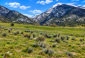 RARE 40.43-ACRE NEVADA PROPERTY Professionally Surveyed • Roads on Three Sides • Adjoins 640 Acres of BLM Land!  Amazing Views! The property is zoned A-3 Agricultural in Lander County, with residential use also permitted. APN:  007-220-90