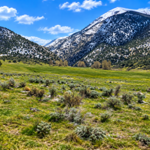 RARE 40.43-ACRE NEVADA PROPERTY Professionally Surveyed • Roads on Three Sides • Adjoins 640 Acres of BLM Land!  Amazing Views! The property is zoned A-3 Agricultural in Lander County, with residential use also permitted. APN:  007-220-90