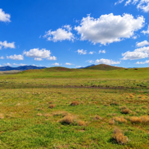 Rare Opportunity -80 Acres Zoned for A1, A2 and A3, -Farm, Agricultural, Ranch, & Residential! Seasonal Creek n the Property!  Borders 640 BLM Land* in Nevada Freedom in Lander County! Also- Boarder of Humboldt County! APN: 010-040-11