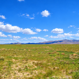 Rare Opportunity -80 Acres Zoned for A1, A2 and A3, -Farm, Agricultural, Ranch, & Residential! Seasonal Creek n the Property!  Borders 640 BLM Land* in Nevada Freedom in Lander County! Also- Boarder of Humboldt County! APN: 010-040-11