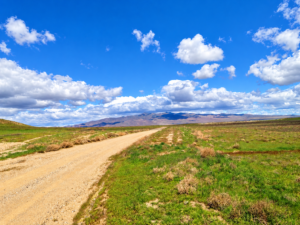 Rare Opportunity -80 Acres Zoned for A1, A2 and A3, -Farm, Agricultural, Ranch, & Residential! Seasonal Creek n the Property!  Borders 640 BLM Land* in Nevada Freedom in Lander County! Also- Boarder of Humboldt County! APN: 010-040-11
