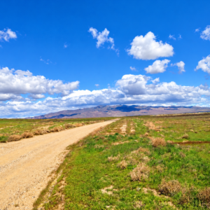 Rare Opportunity -80 Acres Zoned for A1, A2 and A3, -Farm, Agricultural, Ranch, & Residential! Seasonal Creek n the Property!  Borders 640 BLM Land* in Nevada Freedom in Lander County! Also- Boarder of Humboldt County! APN: 010-040-11