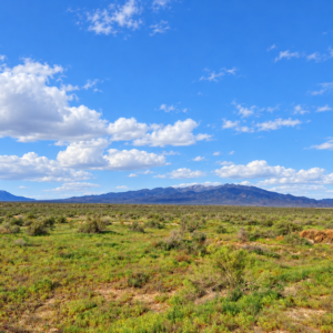 Rare Opportunity -80 Acres Zoned for A1, A2 and A3, -Farm, Agricultural, Ranch, & Residential! Seasonal Creek n the Property!  Borders 640 BLM Land* in Nevada Freedom in Lander County! Also- Boarder of Humboldt County! APN: 010-040-11