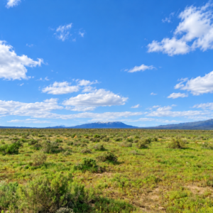Rare Opportunity -80 Acres Zoned for A1, A2 and A3, -Farm, Agricultural, Ranch, & Residential! Seasonal Creek n the Property!  Borders 640 BLM Land* in Nevada Freedom in Lander County! Also- Boarder of Humboldt County! APN: 010-040-11