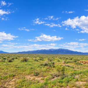 Rare Opportunity -80 Acres Zoned for A1, A2 and A3, -Farm, Agricultural, Ranch, & Residential! Seasonal Creek n the Property!  Borders 640 BLM Land* in Nevada Freedom in Lander County! Also- Boarder of Humboldt County! APN: 010-040-11