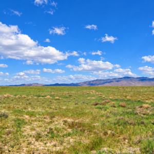 Rare Opportunity -80 Acres Zoned for A1, A2 and A3, -Farm, Agricultural, Ranch, & Residential! Seasonal Creek n the Property!  Borders 640 BLM Land* in Nevada Freedom in Lander County! Also- Boarder of Humboldt County! APN: 010-040-11