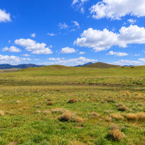 Rare Opportunity -80 Acres Zoned for A1, A2 and A3, -Farm, Agricultural, Ranch, & Residential! Seasonal Creek n the Property!  Borders 640 BLM Land* in Nevada Freedom in Lander County! Also- Boarder of Humboldt County! APN: 010-040-11