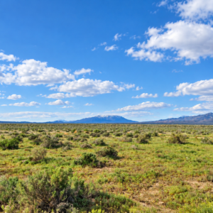 Rare Opportunity -80 Acres Zoned for A1, A2 and A3, -Farm, Agricultural, Ranch, & Residential! Seasonal Creek n the Property!  Borders 640 BLM Land* in Nevada Freedom in Lander County! Also- Boarder of Humboldt County! APN: 010-040-11