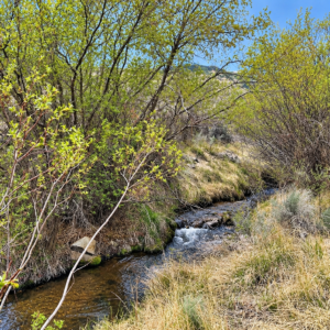 Rare Opportunity -80 Acres Zoned for A1, A2 and A3, -Farm, Agricultural, Ranch, & Residential! Seasonal Creek n the Property!  Borders 640 BLM Land* in Nevada Freedom in Lander County! Also- Boarder of Humboldt County! APN: 010-040-11