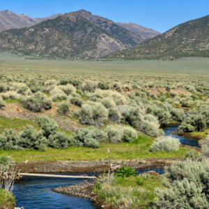 Rare Opportunity -80 Acres Zoned for A1, A2 and A3, -Farm, Agricultural, Ranch, & Residential! Seasonal Creek n the Property!  Borders 640 BLM Land* in Nevada Freedom in Lander County! Also- Boarder of Humboldt County! APN: 010-040-11