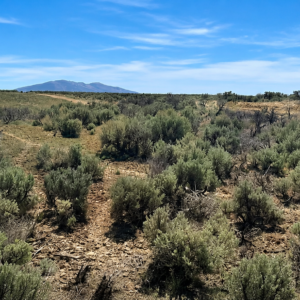 2.27 Acres in Ryndon, Nevada  APN: 012-046-006 | Twin River Ranchos | Minutes from Elko  Discover peaceful country living beneath Nevada’s wide-open skies! This beautiful 2.27-acre property offers impressive mountain views, privacy, usable land, and convenient access to downtown Elko.