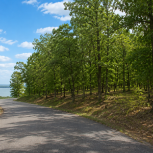 TAKE A ONE MINUTE WALK TO THE LAKE & DISCOVER GREERS FERRY LAKE PROPERTY WITH UTILITEIS IN VAN BUREN ARKANSAS!  Crystal-Clear Water • Ozark Scenery • Endless Adventure  Welcome to Greers Ferry Lake, one of Arkansas’s most beautiful outdoor destinations. Known for its clear blue water, scenic shoreline, wooded hills, and year-round recreation, the lake is perfect for boating, fishing, swimming, kayaking, hiking, camping, and relaxing by the water.  .41 ACRES -APN: 4350-06013-0000