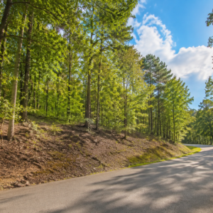 TAKE A ONE MINUTE WALK TO THE LAKE & DISCOVER GREERS FERRY LAKE PROPERTY WITH UTILITEIS IN VAN BUREN ARKANSAS!  Crystal-Clear Water • Ozark Scenery • Endless Adventure  Welcome to Greers Ferry Lake, one of Arkansas’s most beautiful outdoor destinations. Known for its clear blue water, scenic shoreline, wooded hills, and year-round recreation, the lake is perfect for boating, fishing, swimming, kayaking, hiking, camping, and relaxing by the water.  .41 ACRES -APN: 4350-06013-0000