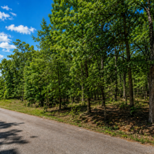 TAKE A ONE MINUTE WALK TO THE LAKE & DISCOVER GREERS FERRY LAKE PROPERTY WITH UTILITEIS IN VAN BUREN ARKANSAS!  Crystal-Clear Water • Ozark Scenery • Endless Adventure  Welcome to Greers Ferry Lake, one of Arkansas’s most beautiful outdoor destinations. Known for its clear blue water, scenic shoreline, wooded hills, and year-round recreation, the lake is perfect for boating, fishing, swimming, kayaking, hiking, camping, and relaxing by the water.  .41 ACRES -APN: 4350-06013-0000