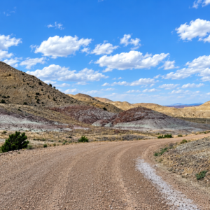 200 Acres in Bridgeland, Utah-Road Access & Incredible Views!  Bridgeland Utah with multiple road access points, dramatic desert scenery, rolling terrain, and expansive mountain views. A rare opportunity for recreation, investment, ranch-style use, or creating your own private getaway in beautiful Duchesne County.