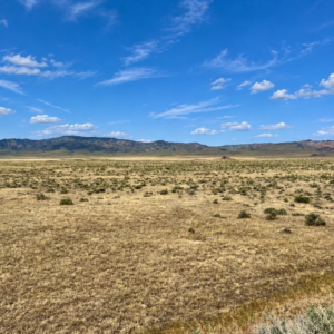 287 Acres • Surveyed Property -Easements**** Farm, Agricultural and Residential - Buena Vista Valley, Pershing County, NV 7 Individual 40+ Acre Parcels • BLM Surrounding • Easy Access • Unmatched Views Buy the Entire 287 Acres -APN's: 015-240-03, 04, 05, 06, 11, 13, 14