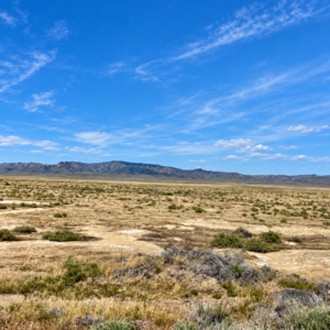 287 Acres • Surveyed Property -Easements**** Farm, Agricultural and Residential - Buena Vista Valley, Pershing County, NV 7 Individual 40+ Acre Parcels • BLM Surrounding • Easy Access • Unmatched Views Buy the Entire 287 Acres -APN's: 015-240-03, 04, 05, 06, 11, 13, 14