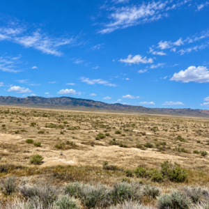 287 Acres • Surveyed Property -Easements**** Farm, Agricultural and Residential - Buena Vista Valley, Pershing County, NV 7 Individual 40+ Acre Parcels • BLM Surrounding • Easy Access • Unmatched Views Buy the Entire 287 Acres -APN's: 015-240-03, 04, 05, 06, 11, 13, 14
