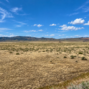 287 Acres • Surveyed Property -Easements**** Farm, Agricultural and Residential - Buena Vista Valley, Pershing County, NV 7 Individual 40+ Acre Parcels • BLM Surrounding • Easy Access • Unmatched Views Buy the Entire 287 Acres -APN's: 015-240-03, 04, 05, 06, 11, 13, 14