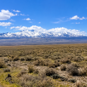 287 Acres • Surveyed Property -Easements**** Farm, Agricultural and Residential - Buena Vista Valley, Pershing County, NV 7 Individual 40+ Acre Parcels • BLM Surrounding • Easy Access • Unmatched Views Buy the Entire 287 Acres -APN's: 015-240-03, 04, 05, 06, 11, 13, 14