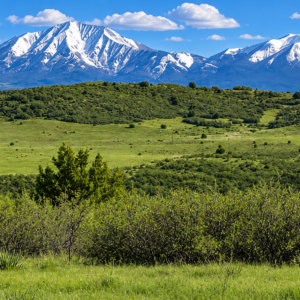 YOUR COLORADO MOUNTAIN HOMESITE AWAITS! 0.28 acres near Colorado City with road access and views toward the mountains near Rye. Just minutes from I-25, Lake Isabel, and San Isabel National Forest, Lot 249 offers a beautiful setting for your future plans  APN: 473645029