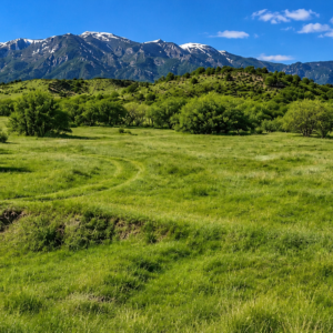 YOUR COLORADO MOUNTAIN HOMESITE AWAITS! 0.28 acres near Colorado City with road access and views toward the mountains near Rye. Just minutes from I-25, Lake Isabel, and San Isabel National Forest, Lot 249 offers a beautiful setting for your future plans  APN: 473645029