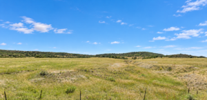 YOUR COLORADO MOUNTAIN HOMESITE AWAITS! 0.28 acres near Colorado City with road access and views toward the mountains near Rye. Just minutes from I-25, Lake Isabel, and San Isabel National Forest, Lot 249 offers a beautiful setting for your future plans  APN: 473645029
