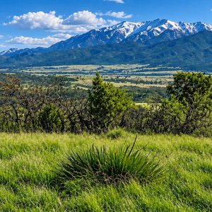 YOUR COLORADO MOUNTAIN HOMESITE AWAITS! 0.28 acres near Colorado City with road access and views toward the mountains near Rye. Just minutes from I-25, Lake Isabel, and San Isabel National Forest, Lot 249 offers a beautiful setting for your future plans  APN: 473645029
