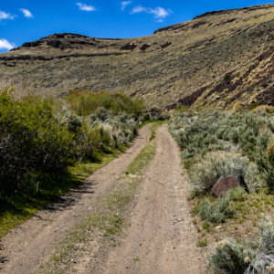 Gold Country Is Booming Again — Own 170 Acres of Nevada Freedom! Discover an extraordinary opportunity to own approximately 170 acres in Crescent Valley, Lander County, Nevada. This remarkable property consists of six adjoining parcels, giving you the flexibility to keep the entire acreage together, develop it over time, or hold the individual parcels as a long-term investment. Running Creek in Crescent Valley with majestic views!  APN: 007-640-05