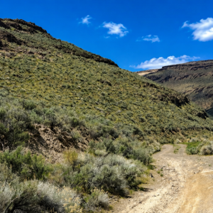Gold Country Is Booming Again — Own 170 Acres of Nevada Freedom! Discover an extraordinary opportunity to own approximately 170 acres in Crescent Valley, Lander County, Nevada. This remarkable property consists of six adjoining parcels, giving you the flexibility to keep the entire acreage together, develop it over time, or hold the individual parcels as a long-term investment. Running Creek in Crescent Valley with majestic views!  APN: 007-640-05