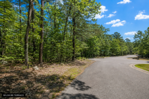 RARE DOUBLE LOT FOR SALE-DISCOVER GREERS FERRY LAKE PROPERTY WITH UTILITEIS IN VAN BUREN ARKANSAS!  Crystal-Clear Water • Ozark Scenery • Endless Adventure  Welcome to Greers Ferry Lake, one of Arkansas’s most beautiful outdoor destinations. Known for its clear blue water, scenic shoreline, wooded hills, and year-round recreation, the lake is perfect for boating, fishing, swimming, kayaking, hiking, camping, and relaxing by the water. APN: 4250-02094-0000/95