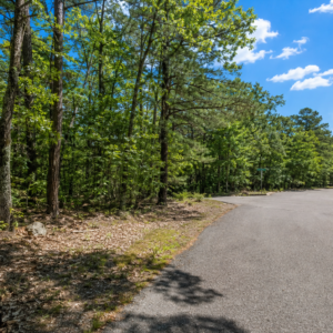 RARE DOUBLE LOT FOR SALE-DISCOVER GREERS FERRY LAKE PROPERTY WITH UTILITEIS IN VAN BUREN ARKANSAS!  Crystal-Clear Water • Ozark Scenery • Endless Adventure  Welcome to Greers Ferry Lake, one of Arkansas’s most beautiful outdoor destinations. Known for its clear blue water, scenic shoreline, wooded hills, and year-round recreation, the lake is perfect for boating, fishing, swimming, kayaking, hiking, camping, and relaxing by the water. APN: 4250-02094-0000/95