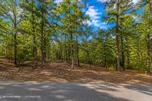TAKE A ONE MINUTE WALK TO THE LAKE & DISCOVER GREERS FERRY LAKE PROPERTY WITH UTILITEIS IN VAN BUREN ARKANSAS!  Crystal-Clear Water • Ozark Scenery • Endless Adventure  Welcome to Greers Ferry Lake, one of Arkansas’s most beautiful outdoor destinations. Known for its clear blue water, scenic shoreline, wooded hills, and year-round recreation, the lake is perfect for boating, fishing, swimming, kayaking, hiking, camping, and relaxing by the water.  .41 ACRES -APN: 4350-06013-0000