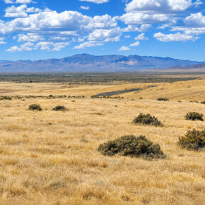 OWN 20 ACRES IN BEAUTIFUL PERSHING COUNTY, NEVADA Buena Vista Valley • Mill City / Imlay • Right Off Hwy 400 • Minutes From I-80 APN: 008-080-25