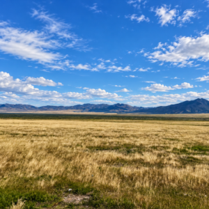 OWN 20 ACRES IN BEAUTIFUL PERSHING COUNTY, NEVADA Buena Vista Valley • Mill City / Imlay • Right Off Hwy 400 • Minutes From I-80 APN: 008-080-25