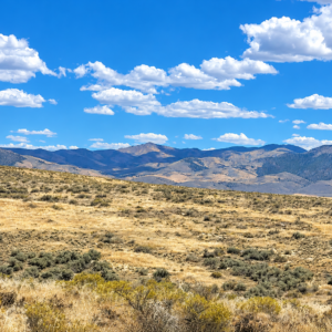 OWN 20 ACRES IN BEAUTIFUL PERSHING COUNTY, NEVADA Buena Vista Valley • Mill City / Imlay • Right Off Hwy 400 • Minutes From I-80 APN: 008-080-25