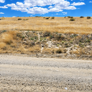 OWN 20 ACRES IN BEAUTIFUL PERSHING COUNTY, NEVADA Buena Vista Valley • Mill City / Imlay • Right Off Hwy 400 • Minutes From I-80 APN: 008-080-25
