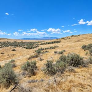 OWN 20 ACRES IN BEAUTIFUL PERSHING COUNTY, NEVADA Buena Vista Valley • Mill City / Imlay • Right Off Hwy 400 • Minutes From I-80 APN: 008-080-25