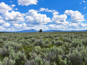 A Rare Opportunity for 160 Acres of Oregon Freedom  For buyers looking for acreage, privacy, recreation, panoramic views, and room to create their own retreat, this 160-acre Klamath County property offers an exciting opportunity. With no HOA, no stated building deadline, and substantial acreage on an elevated mesa above the Sprague River APN: 275810