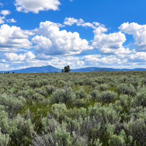 A Rare Opportunity for 160 Acres of Oregon Freedom  For buyers looking for acreage, privacy, recreation, panoramic views, and room to create their own retreat, this 160-acre Klamath County property offers an exciting opportunity. With no HOA, no stated building deadline, and substantial acreage on an elevated mesa above the Sprague River APN: 275810