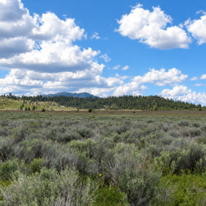 A Rare Opportunity for 160 Acres of Oregon Freedom  For buyers looking for acreage, privacy, recreation, panoramic views, and room to create their own retreat, this 160-acre Klamath County property offers an exciting opportunity. With no HOA, no stated building deadline, and substantial acreage on an elevated mesa above the Sprague River APN: 275810