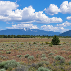 A Rare Opportunity for 160 Acres of Oregon Freedom  For buyers looking for acreage, privacy, recreation, panoramic views, and room to create their own retreat, this 160-acre Klamath County property offers an exciting opportunity. With no HOA, no stated building deadline, and substantial acreage on an elevated mesa above the Sprague River APN: 275810
